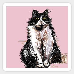 Tuxedo Cat Cute Drawing - on Pink Sticker